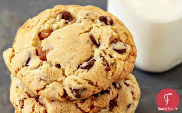Schildkröten Cookies