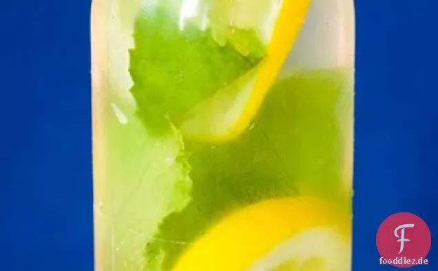 Charlottes halbgefrorenes frisch geprägtes Zitronenwasser