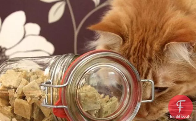 Zähe Katzenleckereien für Katzen