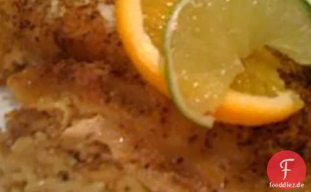 Gebackener Zackenbarsch im Key West-Stil