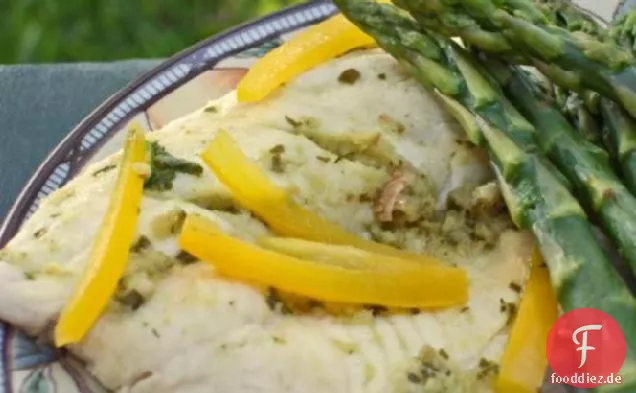 Fisch mit Volldampf