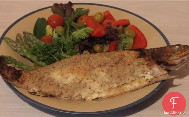 Goldene Tilapia