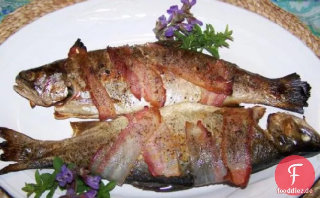 Mit Speck umwickelte Forelle