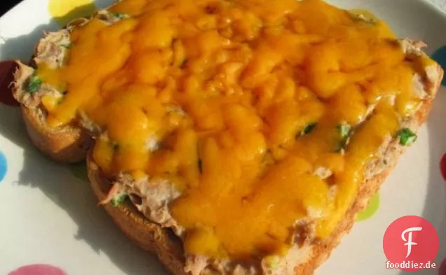 Die beste würzige Thunfischschmelze