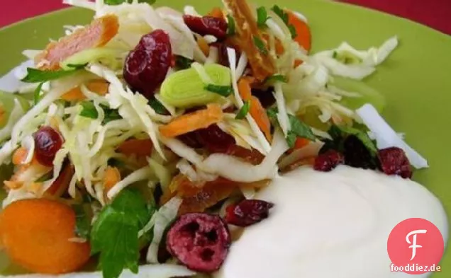 Cranberry Frucht Krautsalat