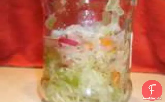 Gefrierschrank Krautsalat