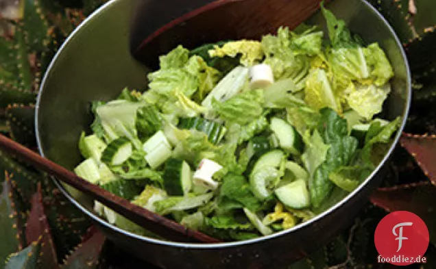 Knuspriger Sellerie-Romaine-Herzsalat