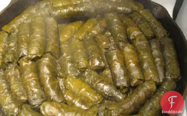 Dolmades - Gefüllte Weinblätter
