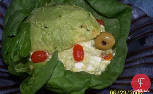 Schildkröte-Shell-Salat