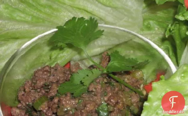 Würziger Salat Wraps-Hcg/Phase 2