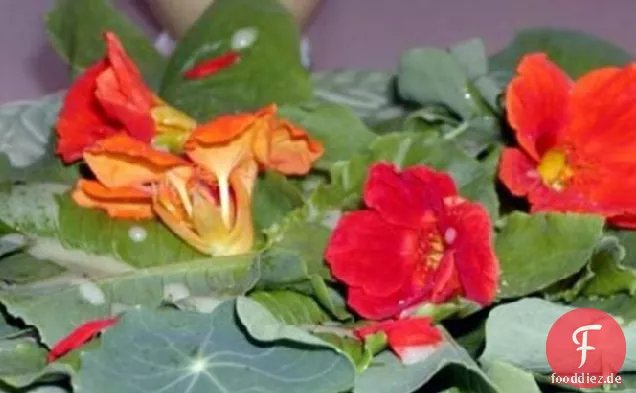 Sommer Blume Salat