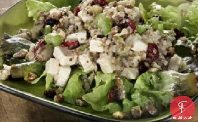 Truthahn, Wildreis und Cranberry-Salat