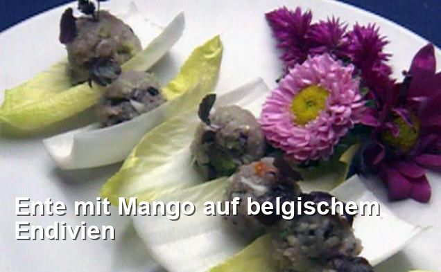 Ente mit Mango auf belgischem Endivien - Gluten Frei Rezepte