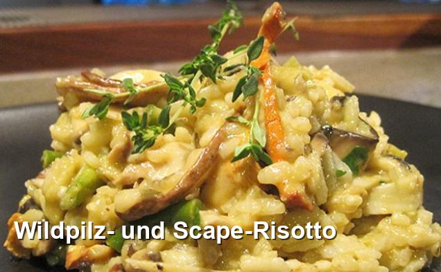 Wildpilz- und Scape-Risotto - Mediterran Rezepte