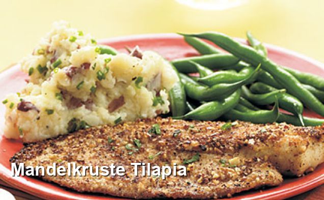 Mandelkruste Tilapia - Ohne Milch Und Milchprodukte Rezepte Mandelkruste Tilapia - Ohne Milch Und Milchprodukte Rezepte