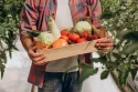 5 einfache Richtlinien, um „saisonales Kochen“ zu entmystifizieren