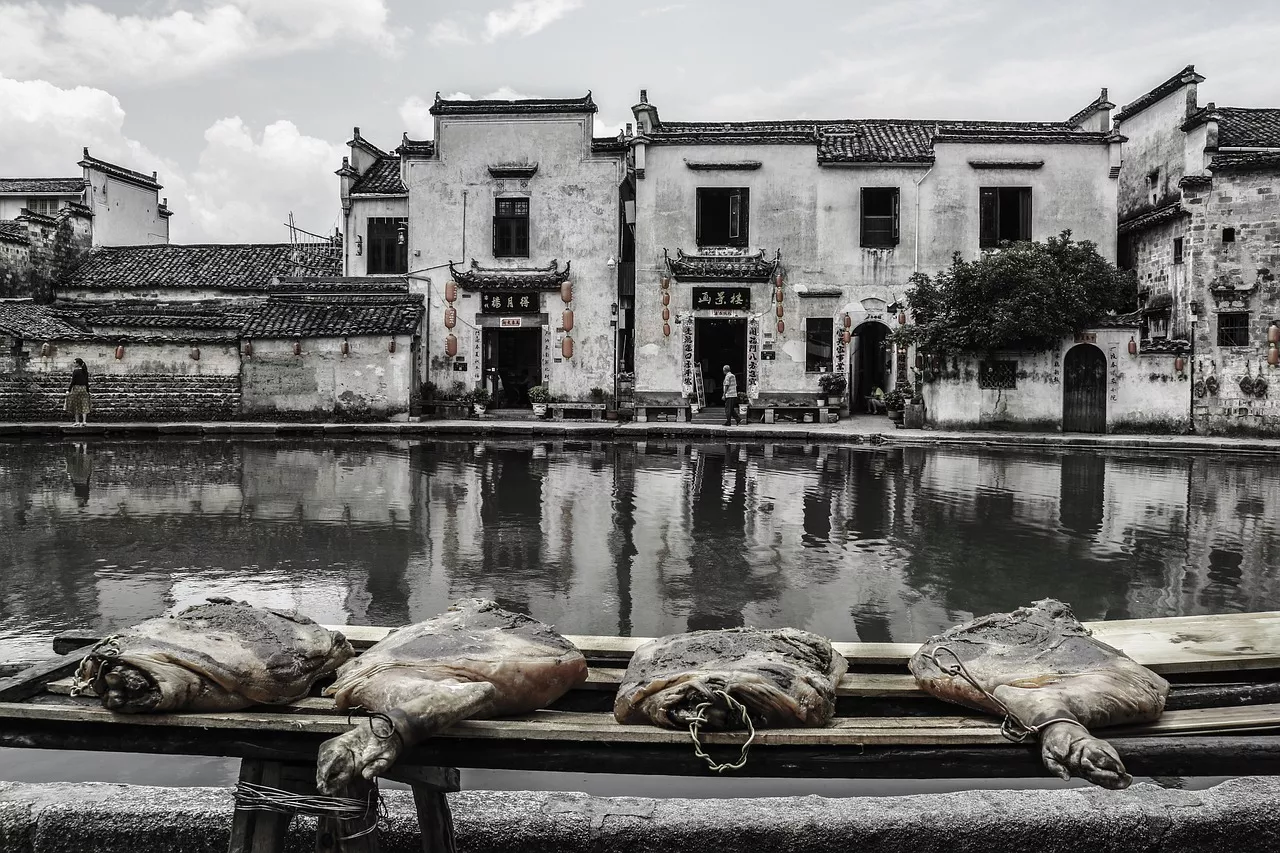 Von alten Getreidesorten bis hin zu modernen Delikatessen: Die faszinierende Geschichte des Essens aufdecken