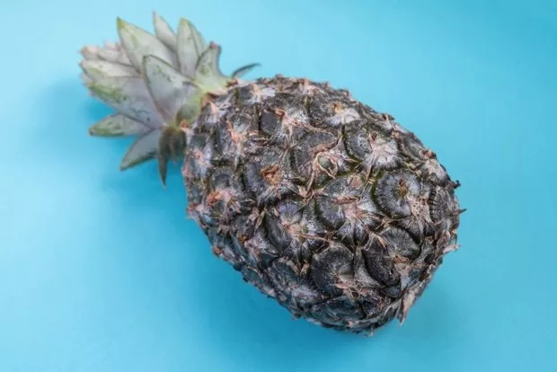 Tropisches Ananas-Dessert