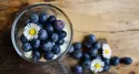Entdecken Sie die faszinierende Welt des Blue Food